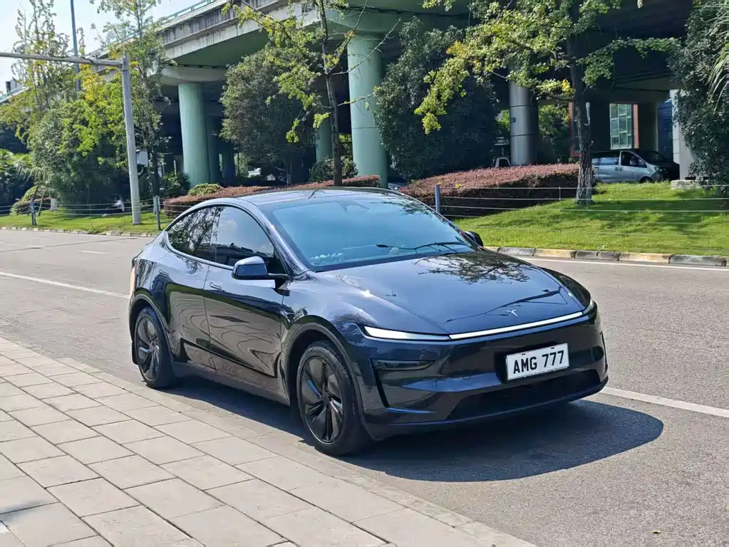 Tesla Model Y — миниатюра 3