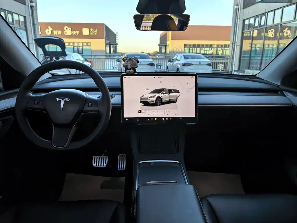 Tesla Model Y — миниатюра 10