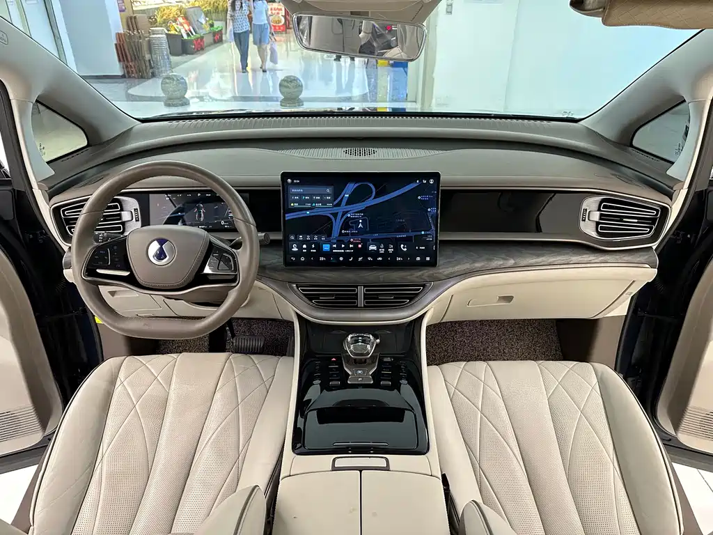 Denza Denza D9 — миниатюра 20