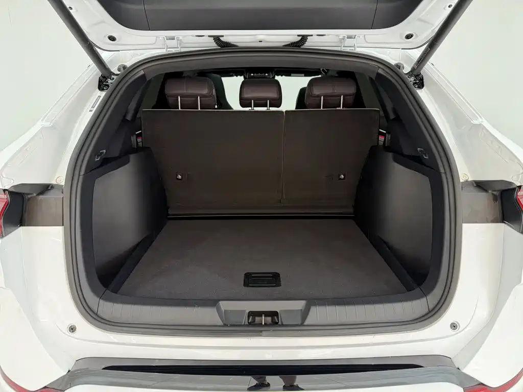 BYD PLUS New Energy — миниатюра 27