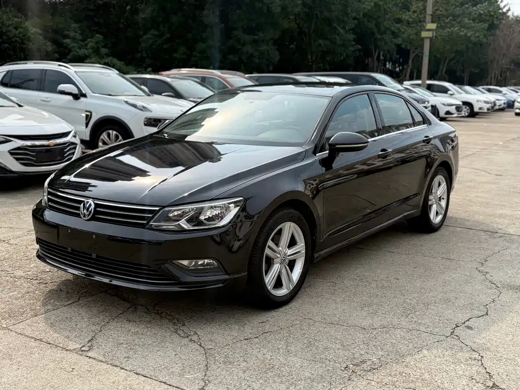 Volkswagen Lamando — миниатюра 3
