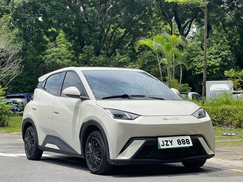 BYD Seagull