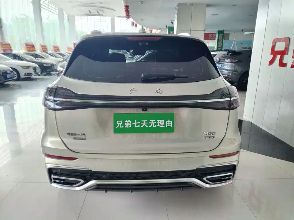 Hongqi HS5 2.0T 4WD Flagship Enjoy Pro Edition, фото 16