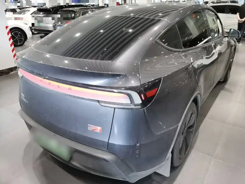 Tesla Model Y — миниатюра 7