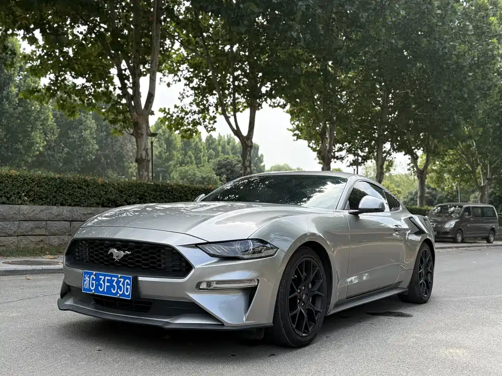 Ford Mustang — миниатюра 3
