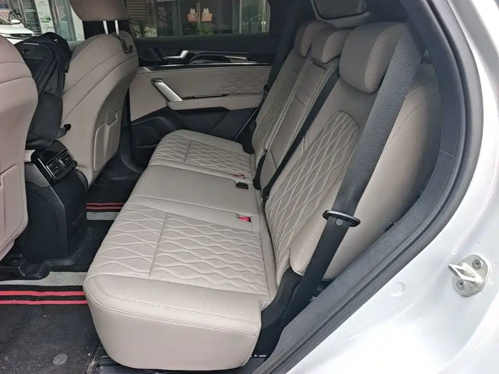 BYD Tang New Energy — миниатюра 17