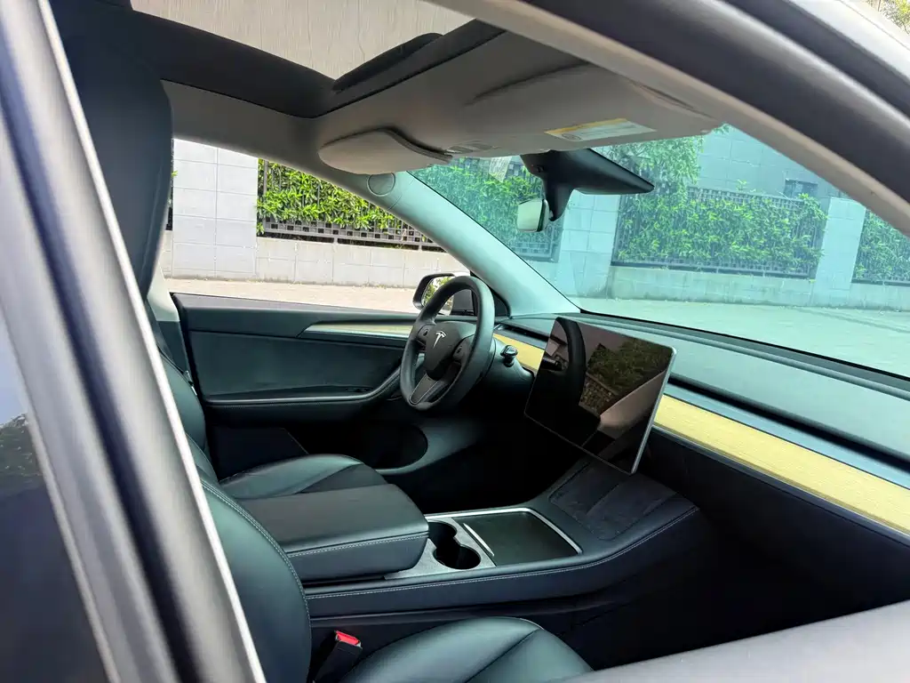 Tesla Model Y — миниатюра 10