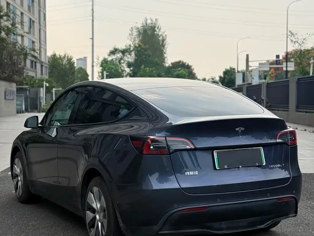 Tesla Model Y — миниатюра 9