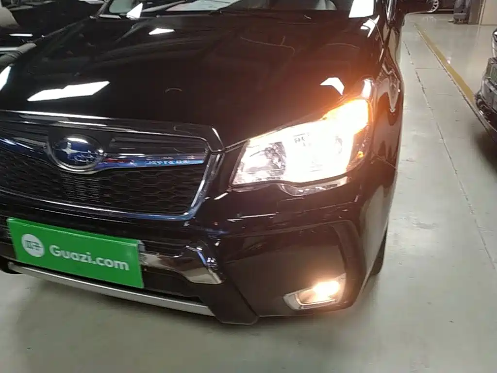 Subaru Forester — миниатюра 24