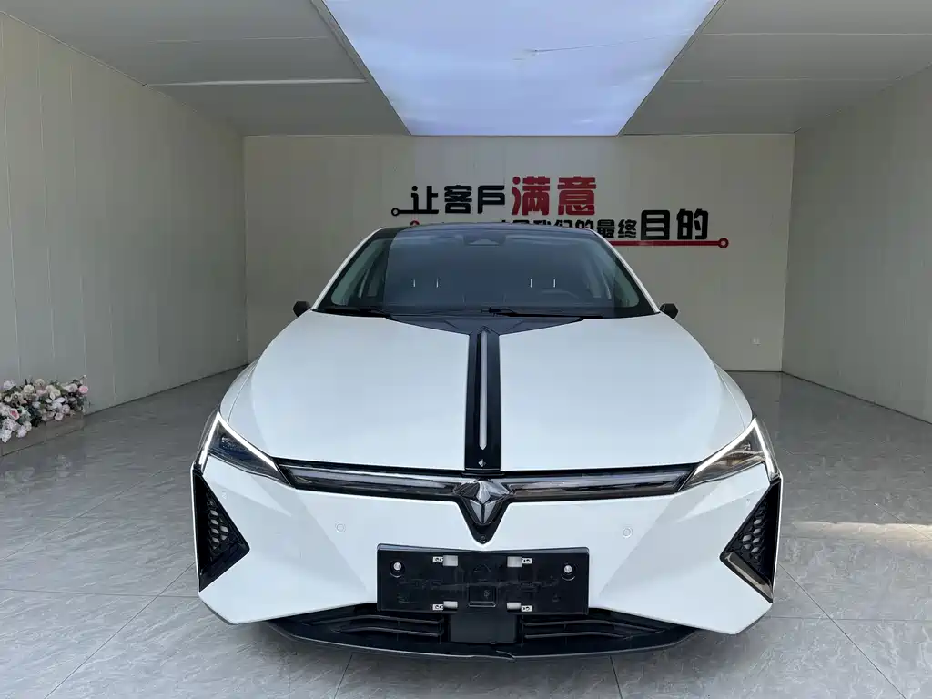 Lingxi Lingxi L — миниатюра 2