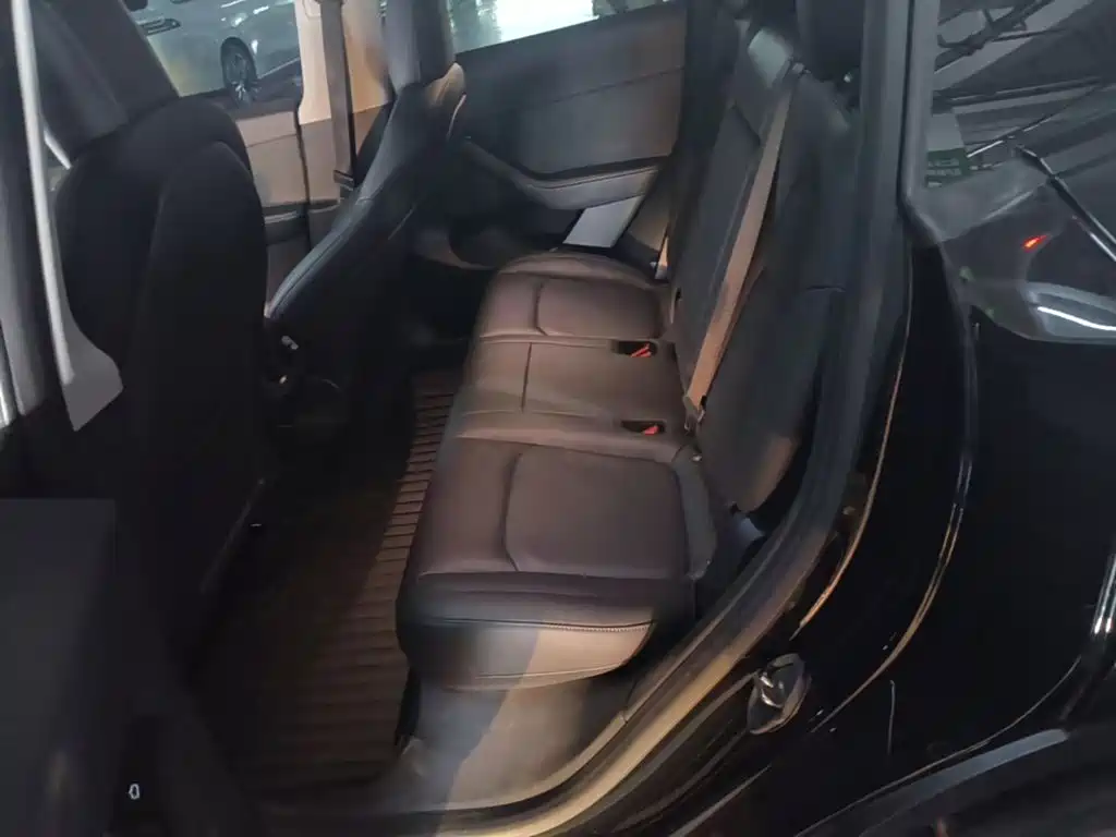 Tesla Model Y — миниатюра 19