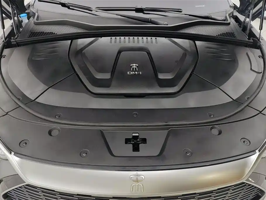 BYD SONGJIANG NEW ENERGY