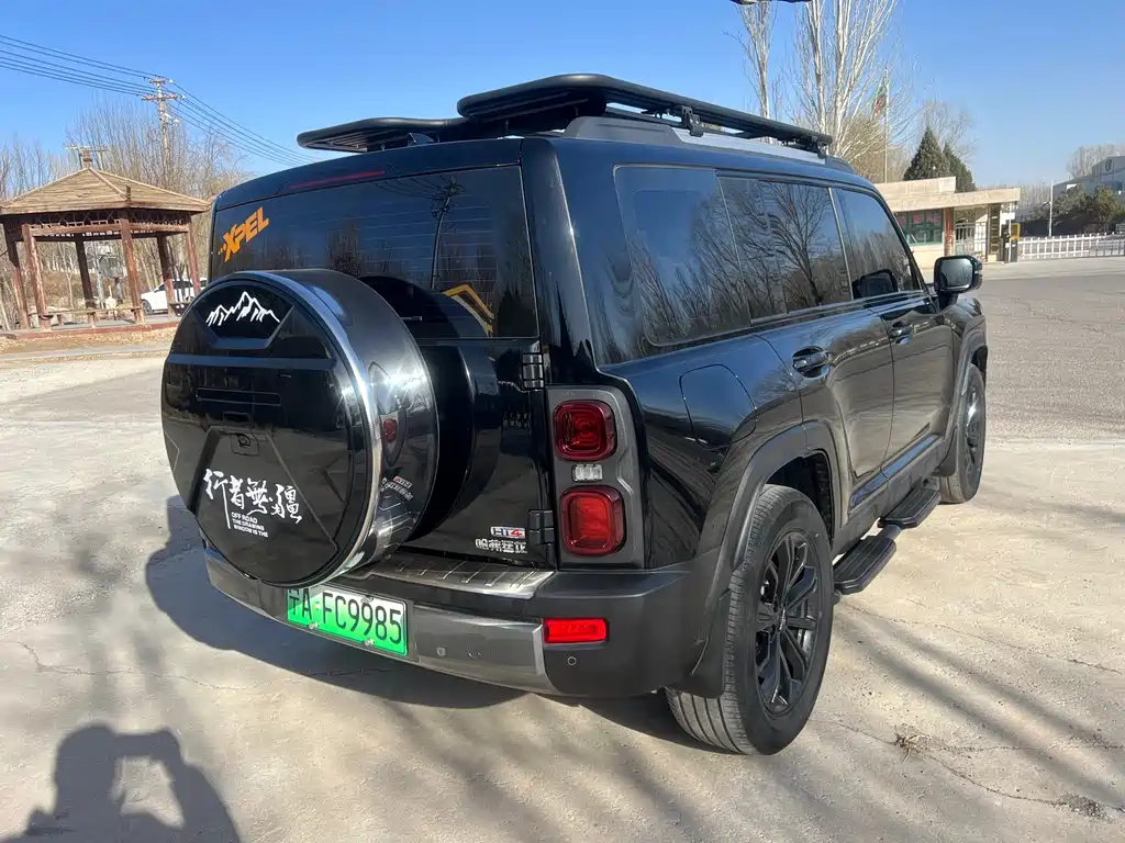 HAVAL RAPTORS NEW ENERGY