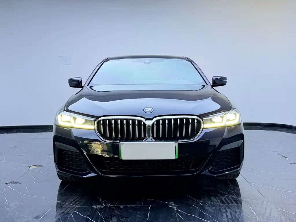 BMW 5 Series New Energy — миниатюра 2