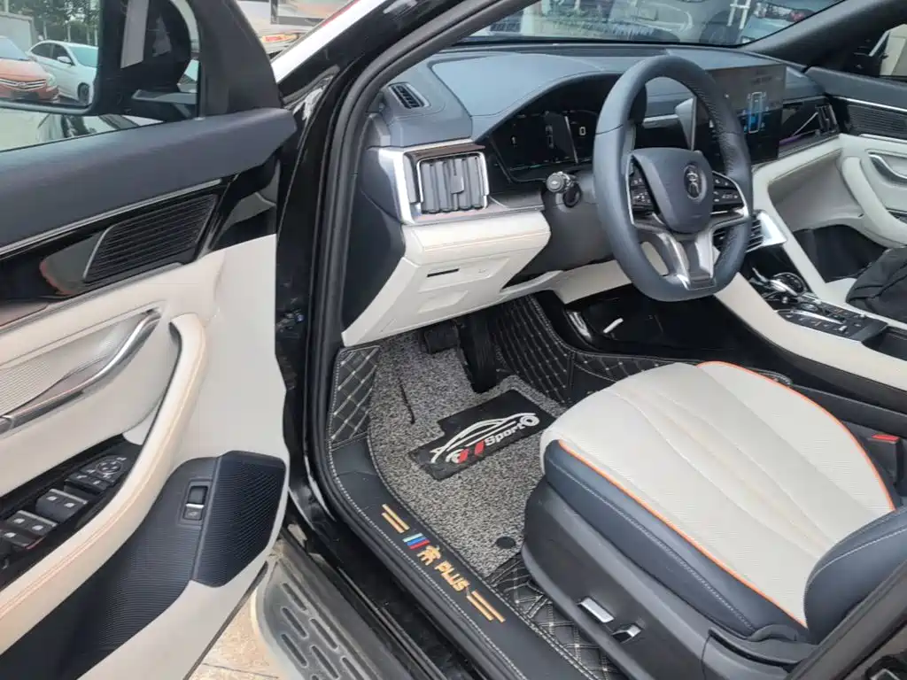 BYD PLUS New Energy — миниатюра 16