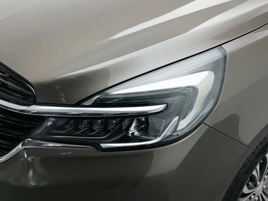 Buick GL8 — миниатюра 7
