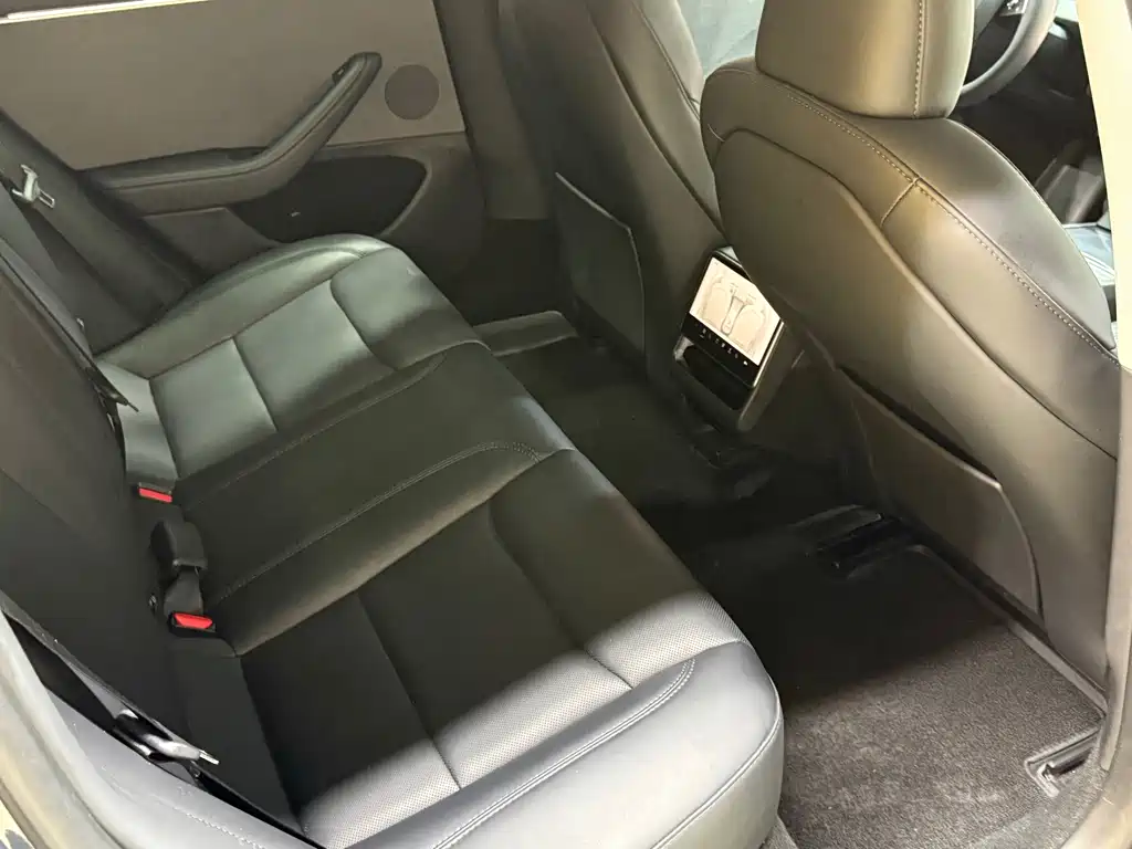 Tesla Model 3 — миниатюра 13