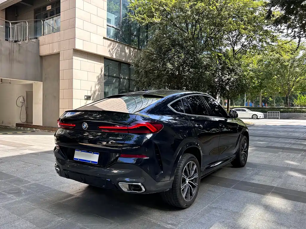 BMW X6 — миниатюра 11