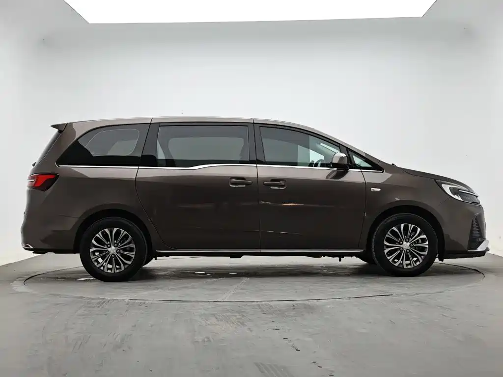 Buick GL8 — миниатюра 5