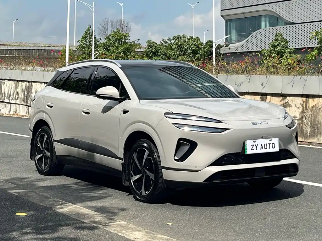 BYD Sealion 06 — миниатюра 3