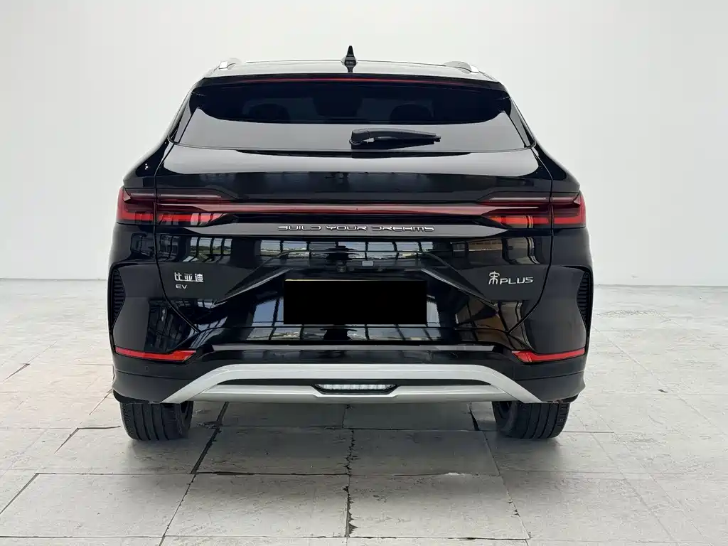 BYD PLUS New Energy — миниатюра 12