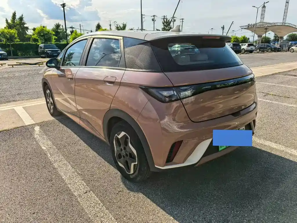 BYD Dolphin — миниатюра 6