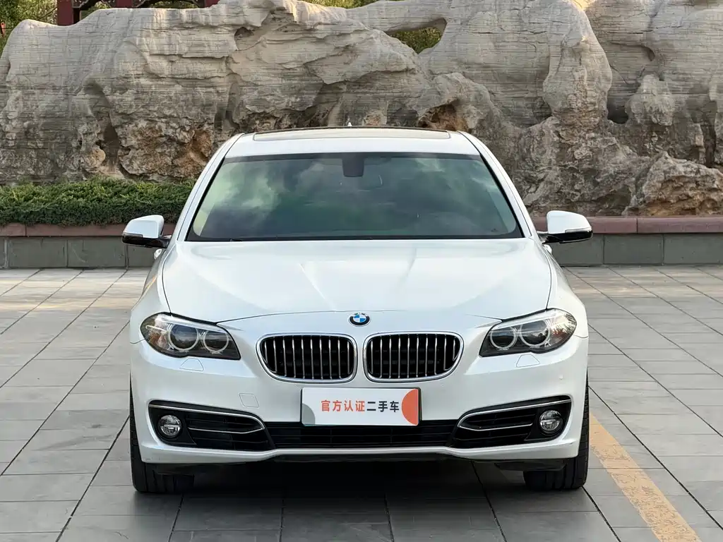 BMW 5 Series — миниатюра 2