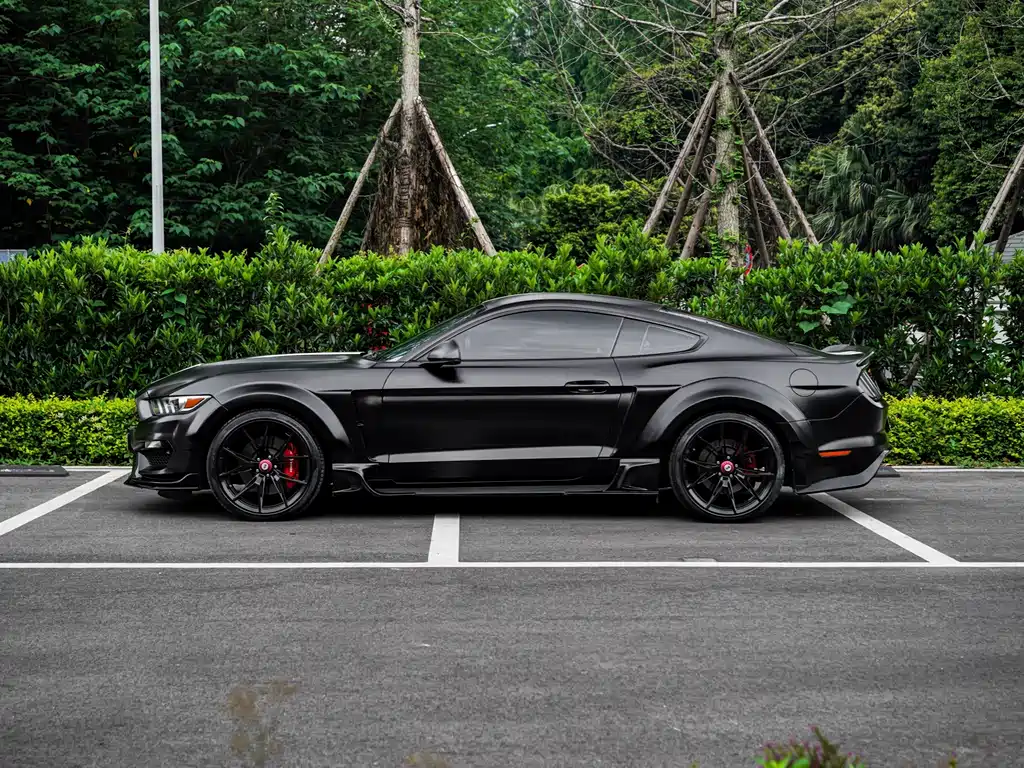 Ford Mustang 2.3T Performance Edition, фото 2