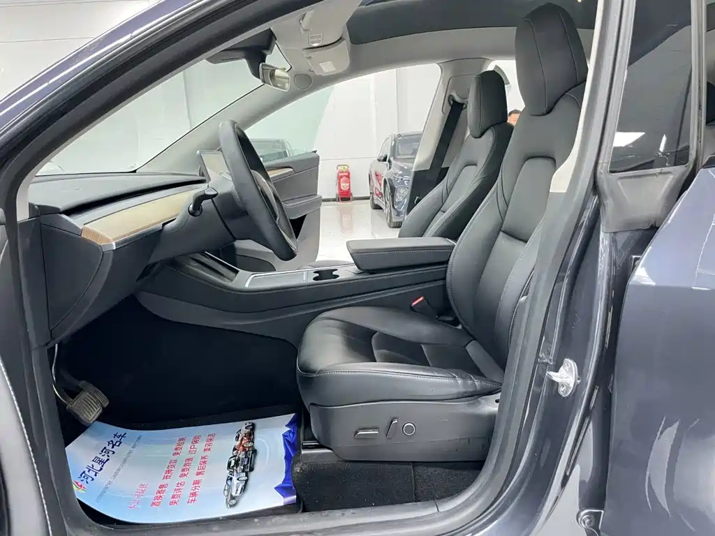 Tesla Model Y — миниатюра 8