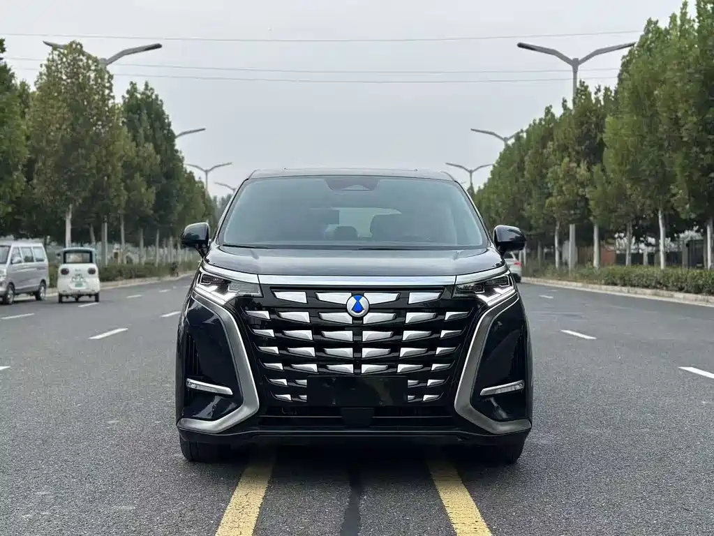 Denza Denza D9 — миниатюра 3