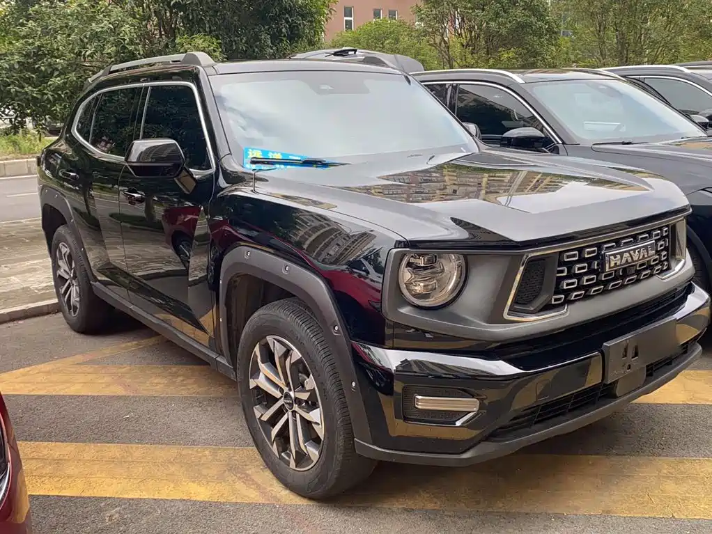 Haval Big Dog PLUS — миниатюра 4