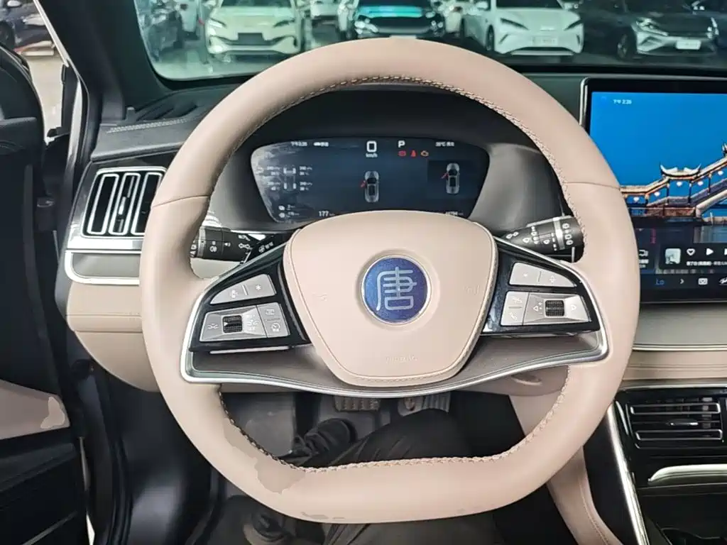 BYD Tang New Energy — миниатюра 11