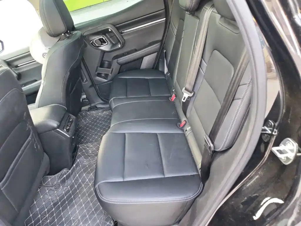 Haval Big Dog PLUS New Energy — миниатюра 17