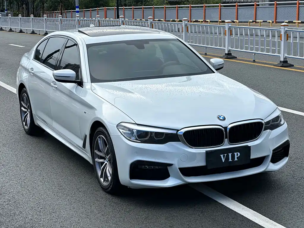 BMW 5 Series 5 2019 525Li M Sport
