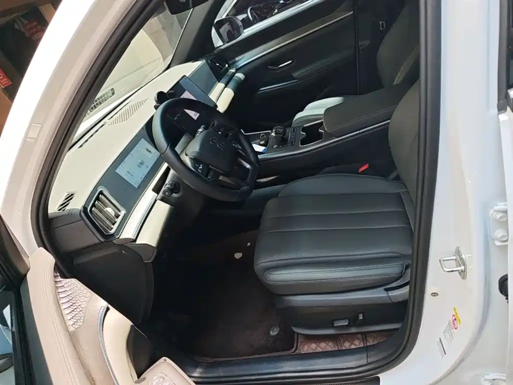 BYD Pro New Energy — миниатюра 15