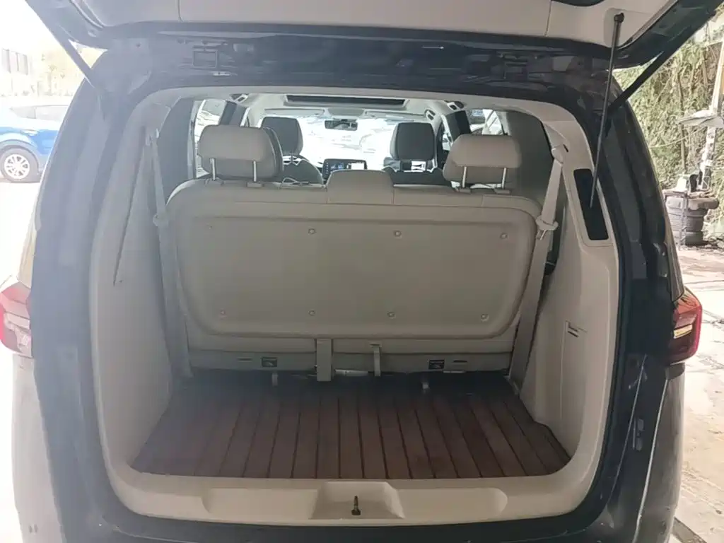 Buick GL8 — миниатюра 15