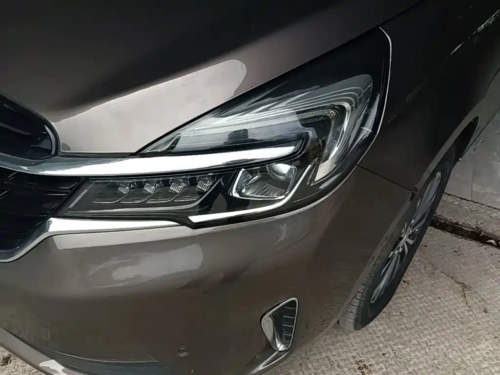 Buick GL8 — миниатюра 18