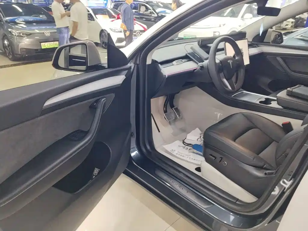 Tesla Model Y — миниатюра 16