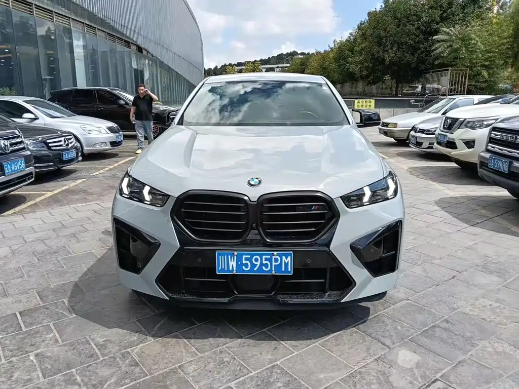 BMW X6 M — миниатюра 2