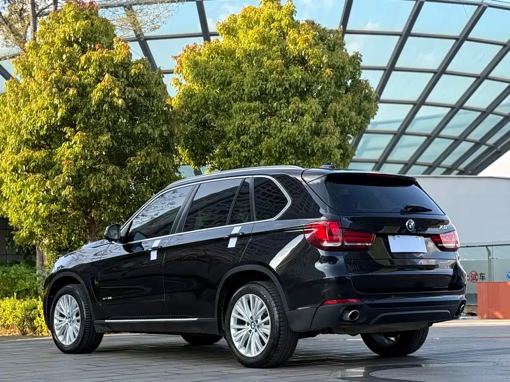 BMW X5 2014 xDrive35i Lead