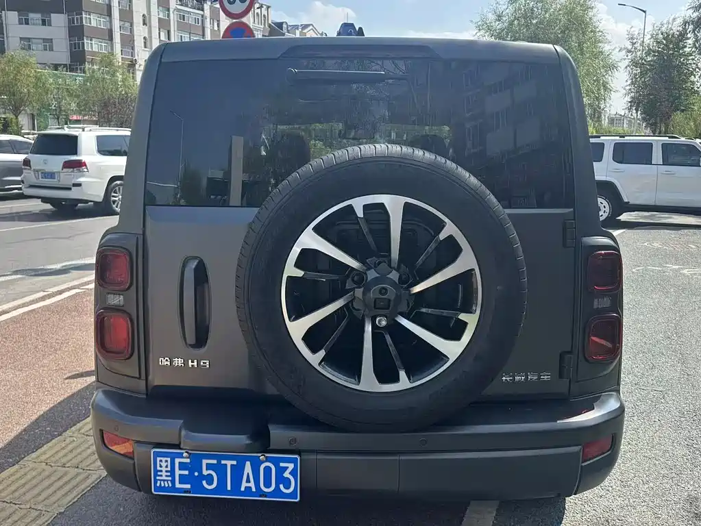 Haval H9 2024 2.0T