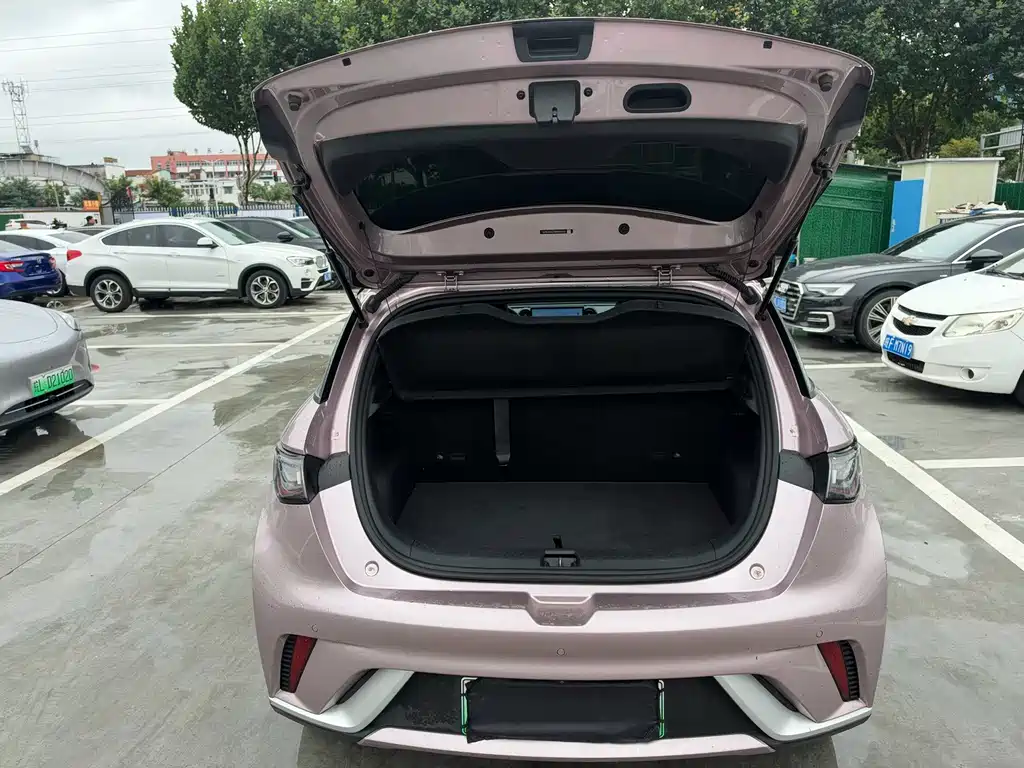 BYD Dolphin — миниатюра 9
