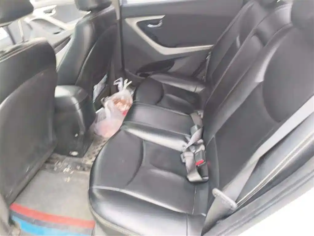 Hyundai Elantra Langdong — миниатюра 7
