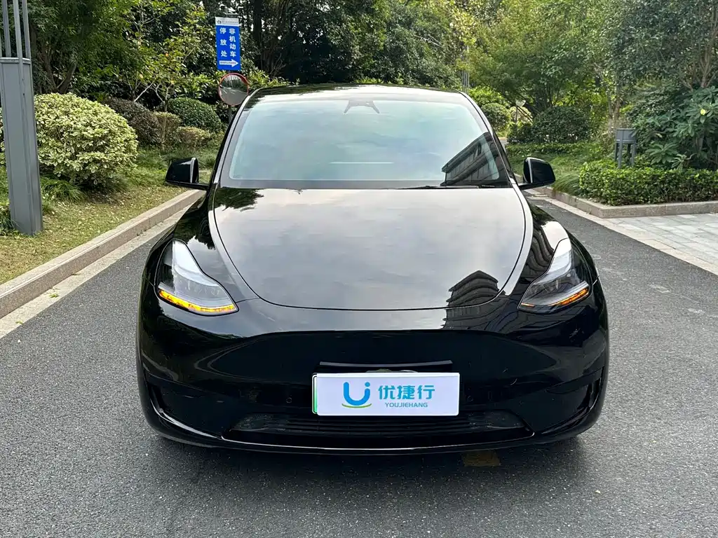Tesla Model Y — миниатюра 2