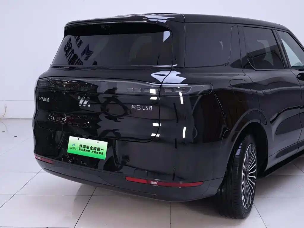 IM IM LS8 — миниатюра 8