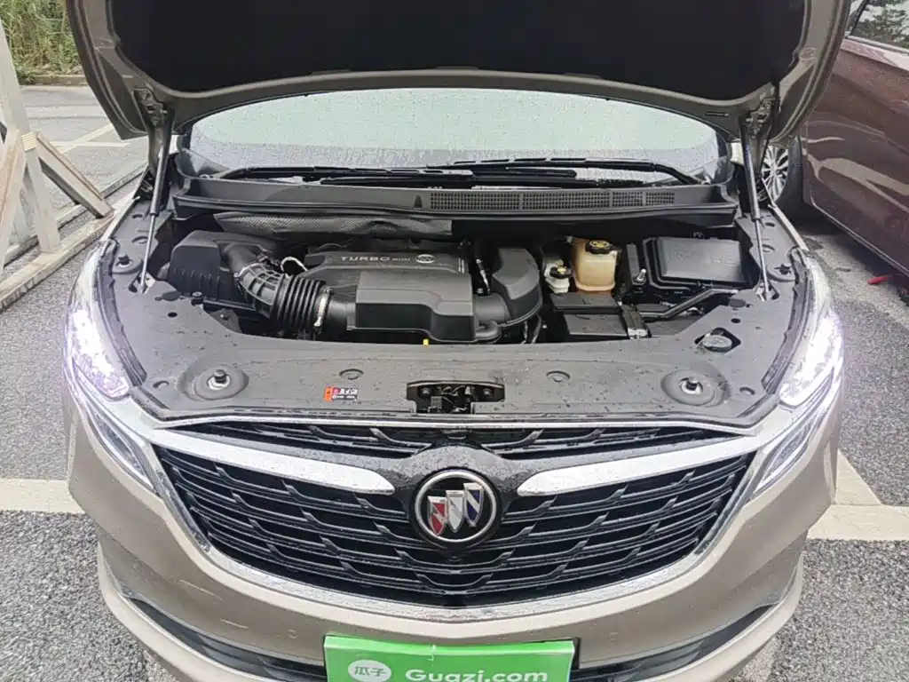 Buick GL8 — миниатюра 20