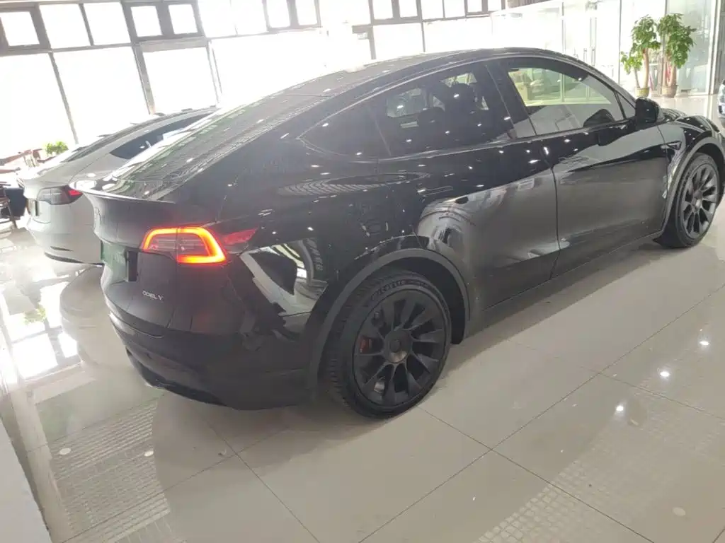Tesla Model Y — миниатюра 7
