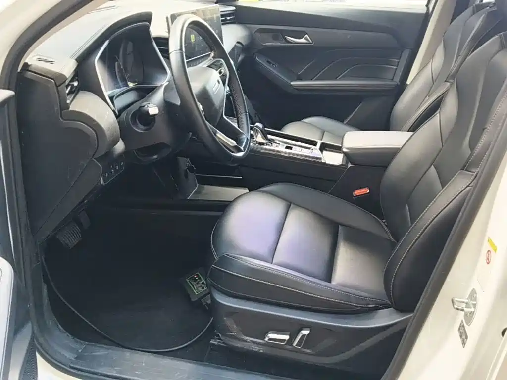 Haval Chitu — миниатюра 15