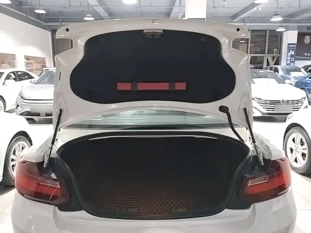 BMW 2 Series (Import) — миниатюра 19