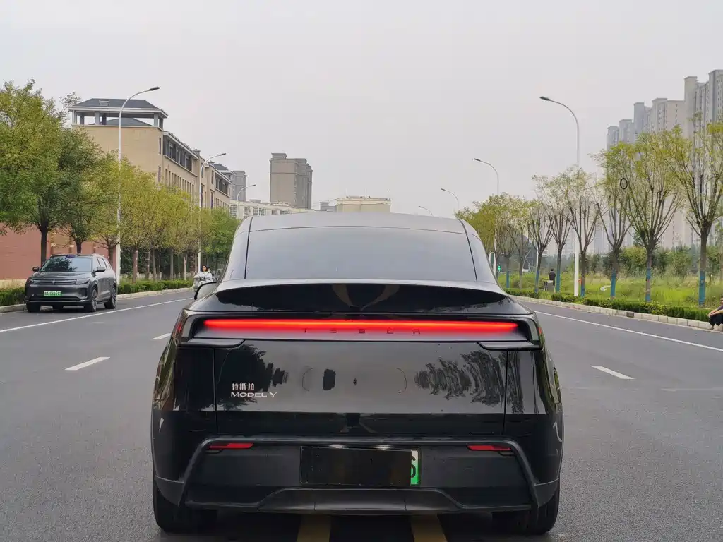 Tesla Model Y — миниатюра 8